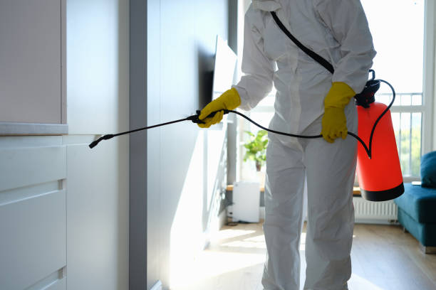 Best Mold Removal Near Me  in Edna, TX