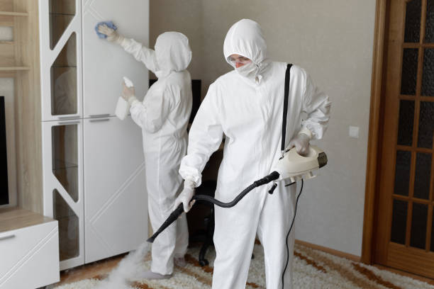 Best Fast Mold Removal  in Edna, TX