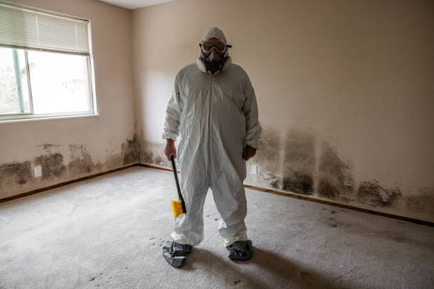 Best Toxic Mold Removal  in Edna, TX
