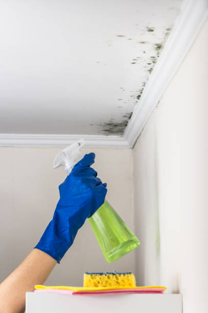 Best Mold Remediation  in Edna, TX
