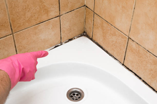 Best Local Mold Removal Service  in Edna, TX
